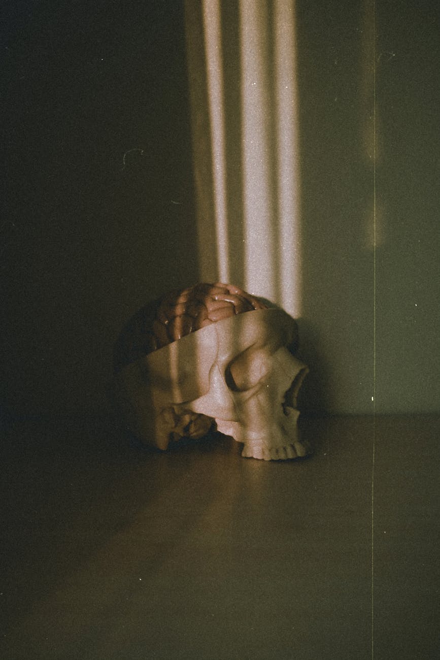 The Body in Freud’s Work