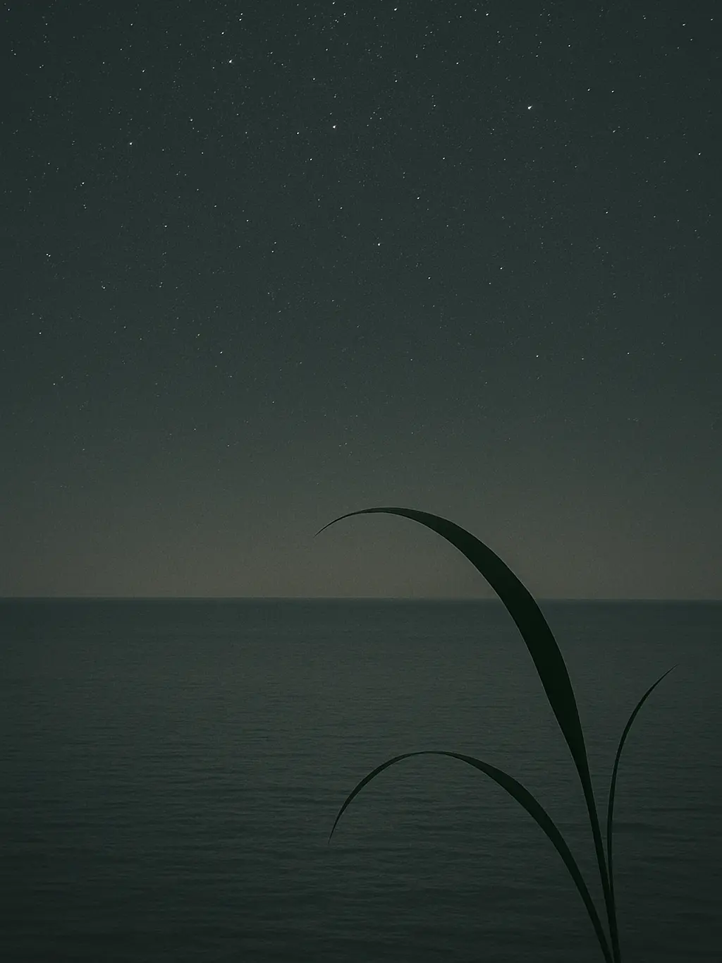 Poem Inspired by Joy Harjo’s “Remember”